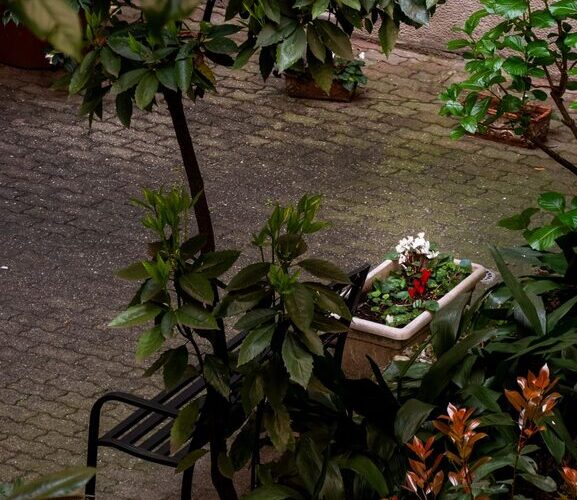 Post: Tips for Creating a Relaxing Garden Space at Home